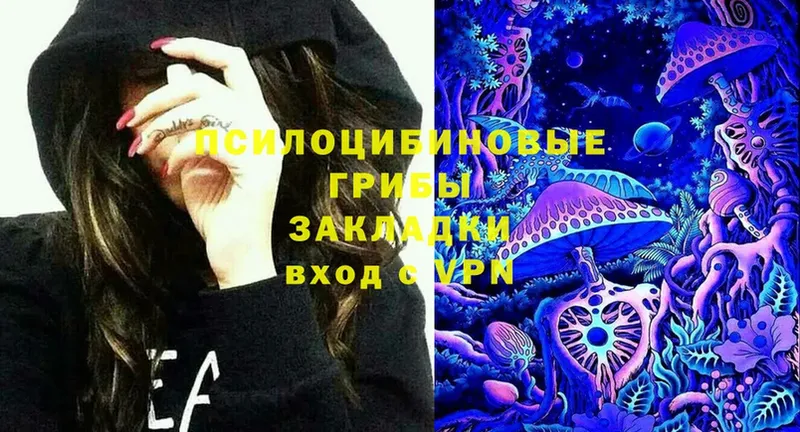 Галлюциногенные грибы Psilocybe  Гагарин 